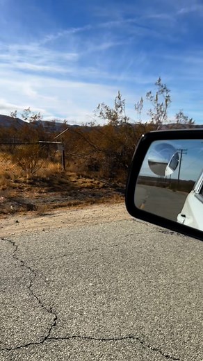 4.6K views · 458 reactions | Meet Hunter, our feral desert pup who...