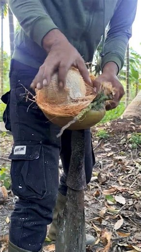 A simple and easy way to peel a coconut