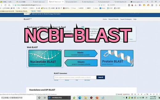 【NCBI-BLAST】-- NCBI—Blast 工具介绍 I 用序列查基因 I 目标序列序列比对 I 比对结果分析 I 比对序列下载---时间较长，谨慎食用