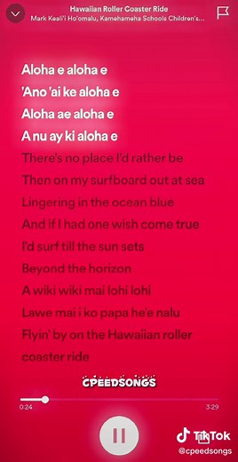 Hawaiian Rollercoaster Ride Full Music Lyrics