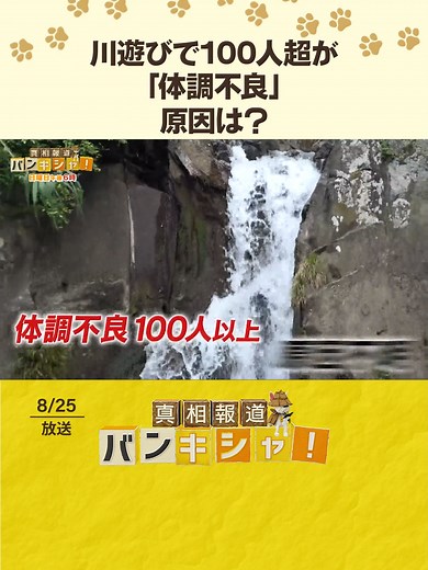 熊本県天草市の滝での症状の原因調査