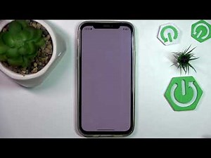 iPhone 12 – How to Fix Yelp App Issues on iOS