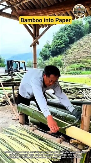 Turning Bamboo into Paper — Skilled Shaving Technique 🎋📄