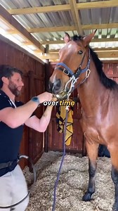 190K views · 1.2K reactions | Why Horses Need Regular Dental Care. | Shee.actress | Facebook