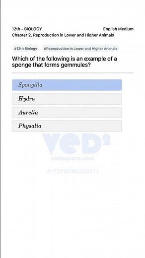 12th Biology Reproduction in Lower and Higher Animals Sponge Gemmules
