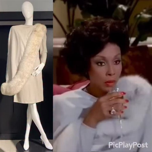 2.5K views · 14K reactions | My Collection: Pale gray fox trimmed...