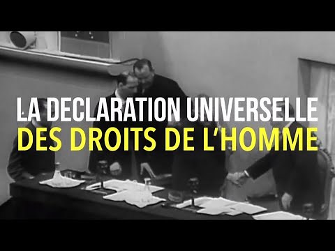 THE UNIVERSAL DECLARATION OF HUMAN RIGHTS - The Big Explainer