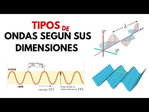 ✅How are waves classified according to their dimensions?🌊One-dimensional waves🥇Two-dimensional wa...