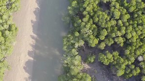 2.6K views · 474 reactions | China's first law on wetland...