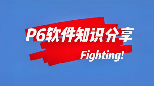 P6软件知识分享