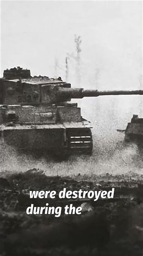 146 Tigers vs Soviets: Kursk's Epic Tank Clash