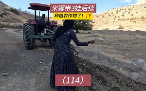 米娜带3娃最新后续114集，米娜种植农作物啦！请司机开垦土地（下）