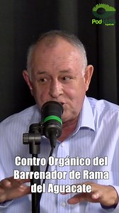 !!Control Orgánico del Barrenador de Ramas en el Aguacatero¡¡♻🌳🥑🪲 #Conapa #Conasipro #podhassaguacate #aguacate PodHass Aguacate T2 E2 Control Orgánico de Plagas en el Aguacatero/ Ing. Javier Núñez 🎧!!Disponible Ahora!! Spotify: PodHass Aguacate YouTube: Conapa-Conasipro | Conapa - Conasipro