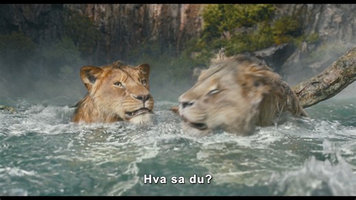 Se traileren for Mufasa: Løvenes Konge med de norske stemmene. Kommer på kino 18. desember! | Disney