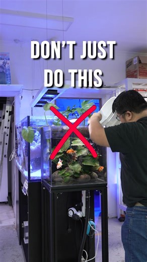 Take it slow when you're adding new water or buffering. A sudden change in water parameters (e.g temperature, pH, hardness) may stress your fish. Stressed fish have a weakened immune system in the fight against disease and parasites. . . . #aquarium #fishkeeping #tropicalfish #fishtank #fishhobby #fishkeepinghobby #fishkeepingcommunity #newlifeaqua #goldfishtank | New Life Aquarium Keysborough