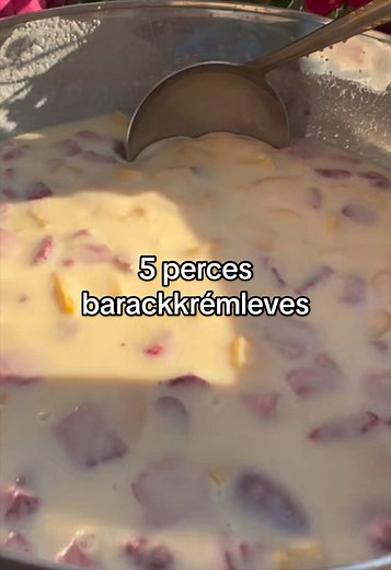 5 perces barackkrémleves recept — gyors nyári desszert