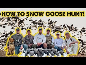 How to Snow Goose Hunt! - A Beginner's Guide (Decoys for SALE)