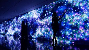 Infinity of Flowers | teamLab