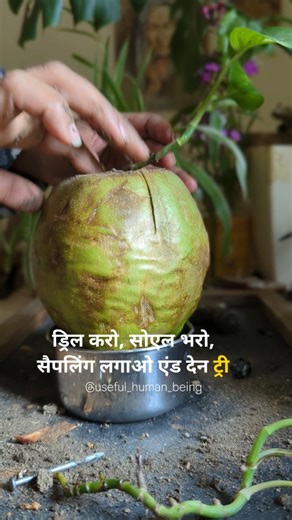 After drinking coconut water, the coconut shell turns into a massive waste. If we convert that waste into a useful resource, it’s a win‑win. Yesterday we discussed how many people grow saplings in black plastic bags during plantation drives ,instead we can repurpose the coconut shell itself. It’s biodegradable: just drill a hole, fill it with soil, plant the sapling, and you’re ready for planting. The more we move towards eco‑friendly, eco‑conscious materials the better it is for nature to susta