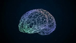 Brain Animation Video