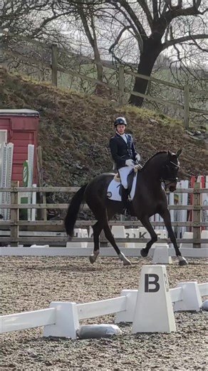 Beautiful horse and rider at our local dressage today 😍