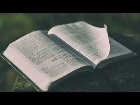 The Jehovah's Witnesses Bible - The New World Translation