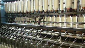 Manufacturing process for cotton fabric