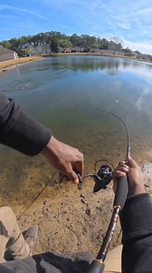 Andre Leon on Reels