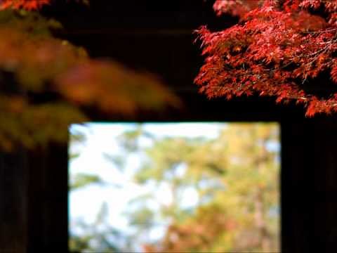 癒し系ピアノ曲集🎹