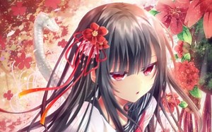 Dreamweaver - 12 分钟内的初学者教程！ [ 2021 更新 ]