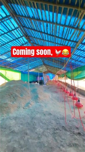 🐣Broiler poultry farm #poultryfarming #chickenfarming #broilerfarming #murgipalan