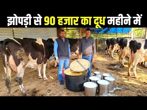 झोपड़ी से 90 हजार का दूध बेचते हैं हर महीने ये किसान! Small dairy farming