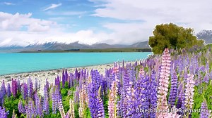 4K电视更细致的观影体验，索尼4K OLED电视看一下4K带来的感受