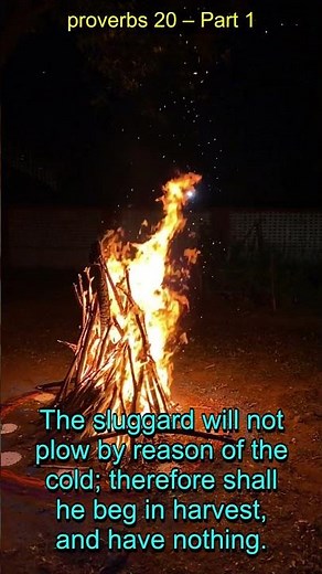 Proverbs 20 Explained: Wisdom, Self-Control & Understanding | Bible Study Insights