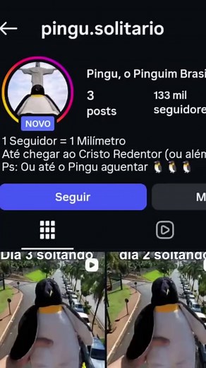 Pingu Rumo ao Cristo Redentor: Dia 4