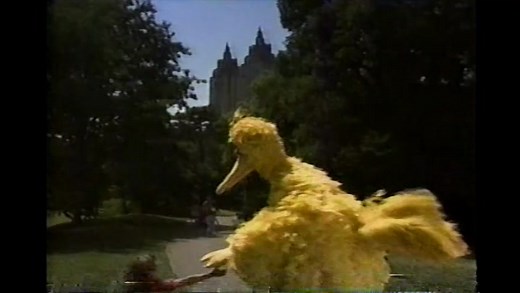 Sesame Street (3616)