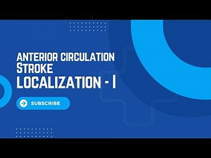 Stroke Localisation - Anterior Circulation I