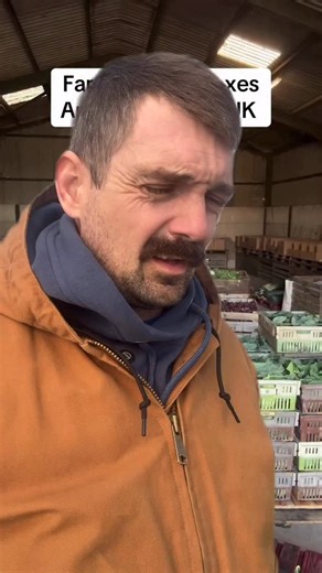 106K views · 18K reactions | There’s never been a better time to be a farmer, the door is open to reach new customers, create new routes to market…the “mainstream” way of doing things is over! Stop complaining about not being paid fairly and go get what you deserve, everyone eats!! Figure out how to get your food to them! PLEASE!!! LET’S GOOOO!!  @petitepeonys | Sunshine and Green | Facebook