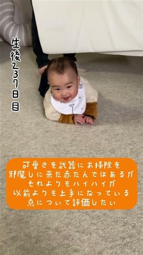 可愛さを武器にお掃除を邪魔しに来た赤たんではあるがそれよりもハイハイが以前よりも上手になっている点について評価したい/#shorts #babyshorts #赤ちゃん