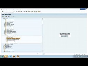 SAP Solutions EHS Demo