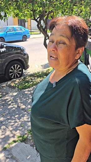 Árbol de limón #limon | lemon tree