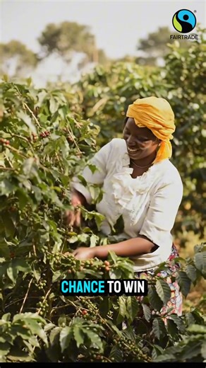 242 reactions · 9 comments |  BE FAIR RIGHT NOW & YOU COULD WIN ...