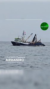 📣 La embarcación pesquera ALESSANDRO, de Pesquera Diamante, en faenas de pesca, a la fecha tiene un avance de descargas de 4,600 TM, que equivale el 52.15% de su cuota asignada para esta temporada de 8,820 TM. ¡Saludos a su tripulación y que sigan los éxitos en sus faenas de pesca!👏 | Radar Pesquero
