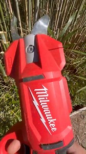 47K views · 286 reactions | Deliver fast, controlled pruning while reducing user fatigue! M12™ Brushless Pruning Shears >> https://bit.ly/3H4XqaA  @sharp_hedges #NothingButHeavyDuty #TeamMilwaukee | Milwaukee Tools Australia | Facebook