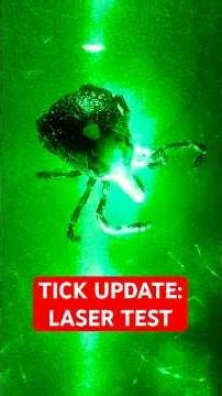 Reviving a dead tick with laser radiation