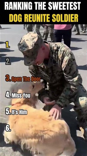 RANKING THE SWEETEST DOG REUNITE SOLDIER MOMENTS 🐶❤️ | Is this the purest form of love?