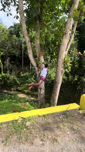 Don’t try this @👻𝖢𝗁𝗂𝗉𝗉𝗒🚩 😅🇯🇲 #jamaicantiktok