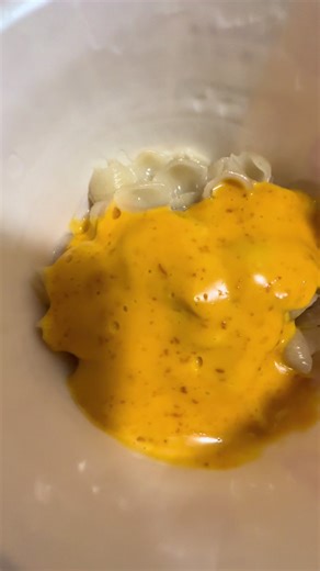 @VELVEETA wtf is this 🤢
