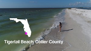 83K views · 615 reactions | Take time to explore Tigertail Beach on Marco Island! #LoveFL | VISIT FLORIDA | Facebook