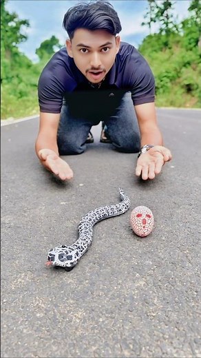 Ek ta remote control snake unboxing